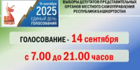 В Янауле проходят дополнительные выборы депутата - Янаульский район