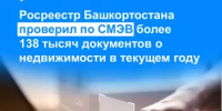 Росреестр Башкортостана проверил по СМЭВ более 138 тысяч документов о недвижимости в текущем году - Янаульский район