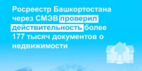 Росреестр Башкортостана через СМЭВ проверил действительность более 177 тысяч документов о недвижимости - Янаульский район