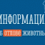 Проведен аукцион на оказание услуг при осуществлении деятельности по обращению с животными без владельцев. - Янаульский район